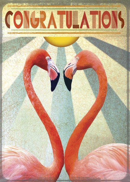 Congratulations Flamingos Greeting Card by Max Hernn - Click Image to Close